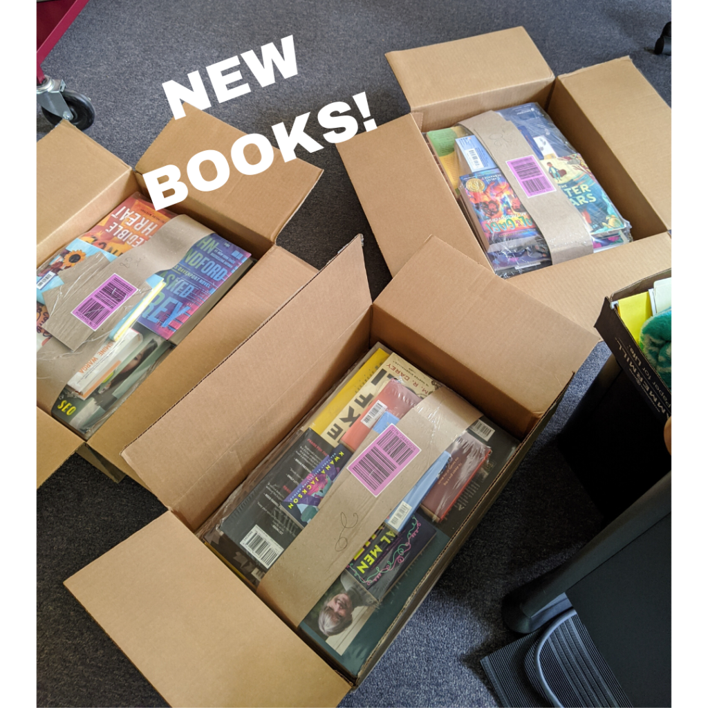 Image description: Three open cardboard boxes of books with "New Books" overlaid in white text