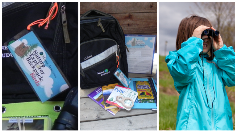 Photos of Maine Audubon Nature Explorer Backpacks, Birds and Wildlife, and contents, as well as a young girl peering off into the distance through binoculars
