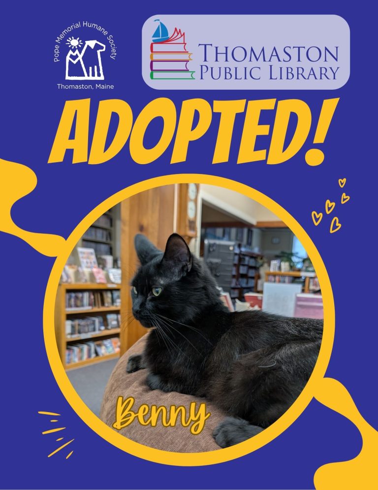 Benny Adopted