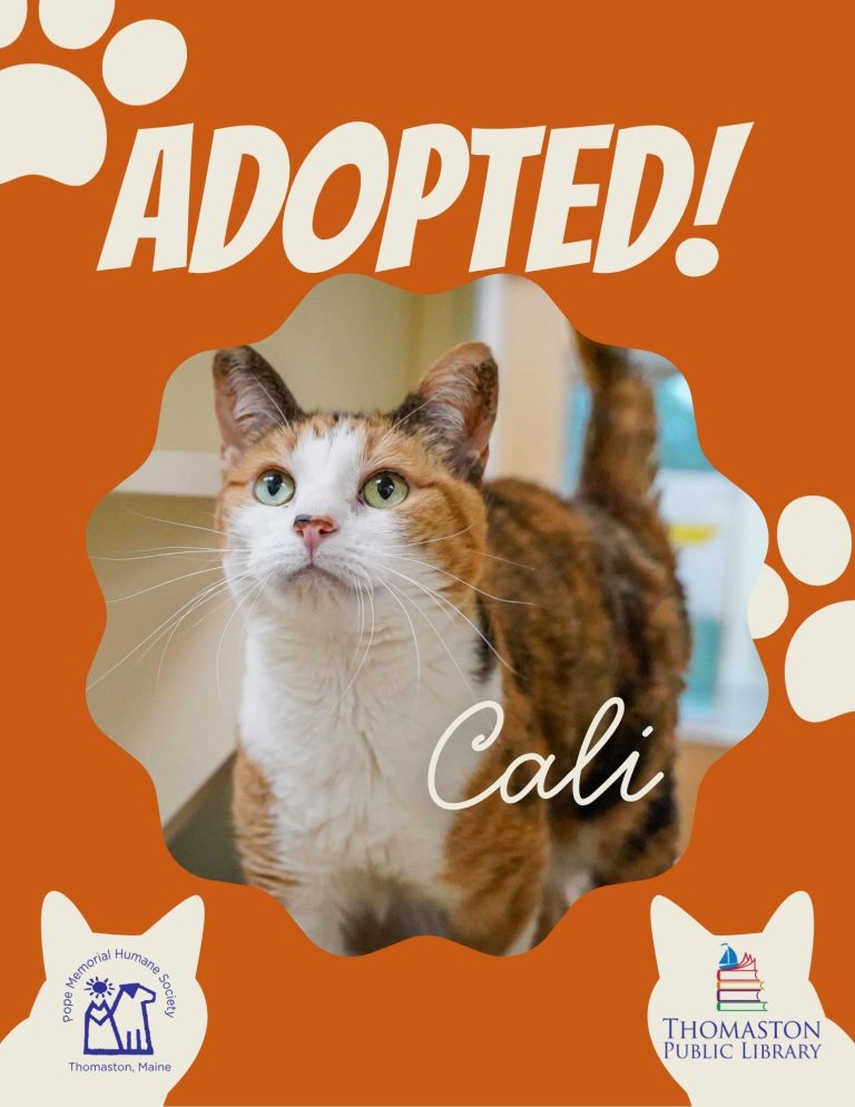 Cali Adopted