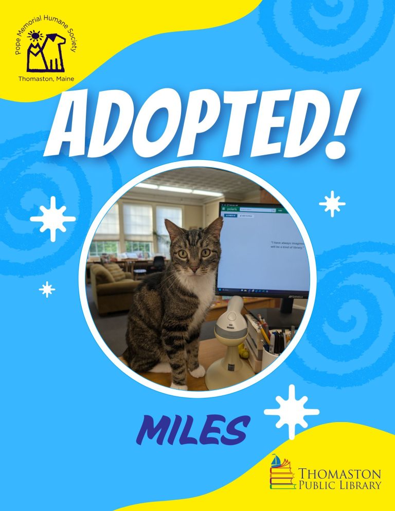 Miles Adopted