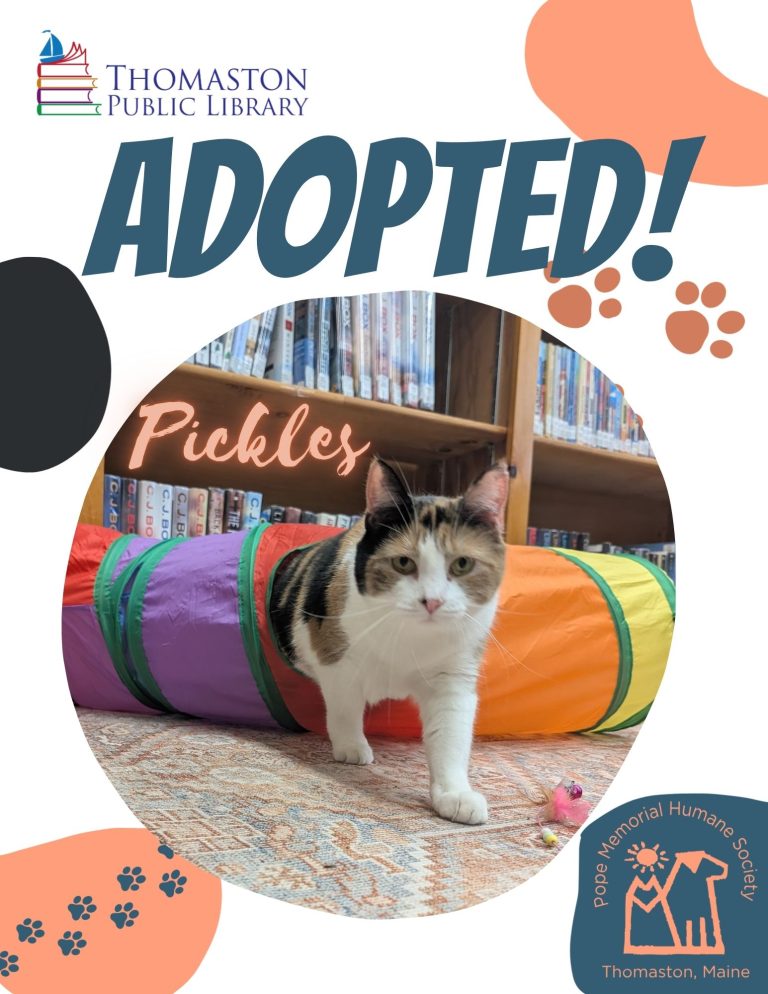 Pickles Adopted