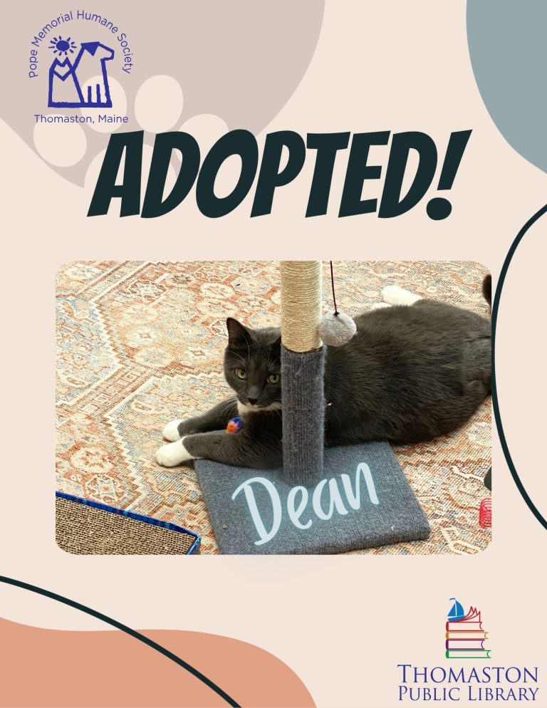 Dean Adopted (1)