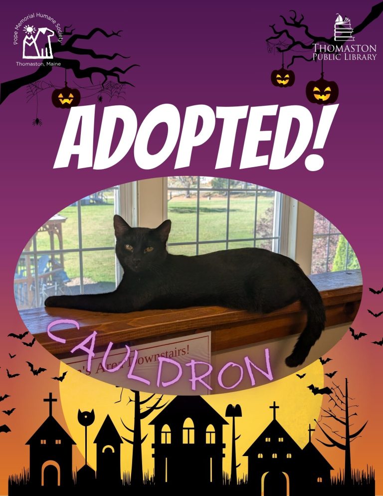 Cauldron Adopted