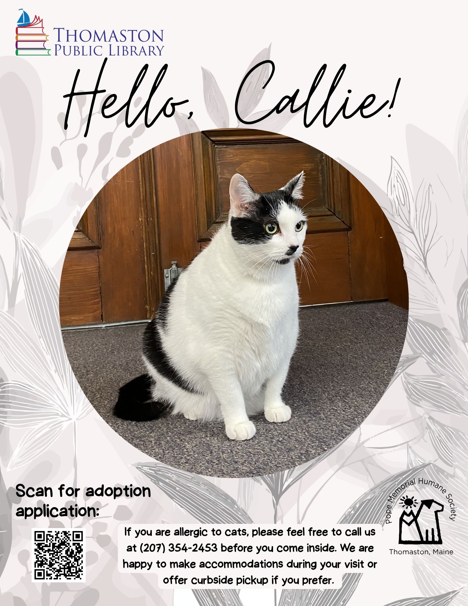 Hello Callie
