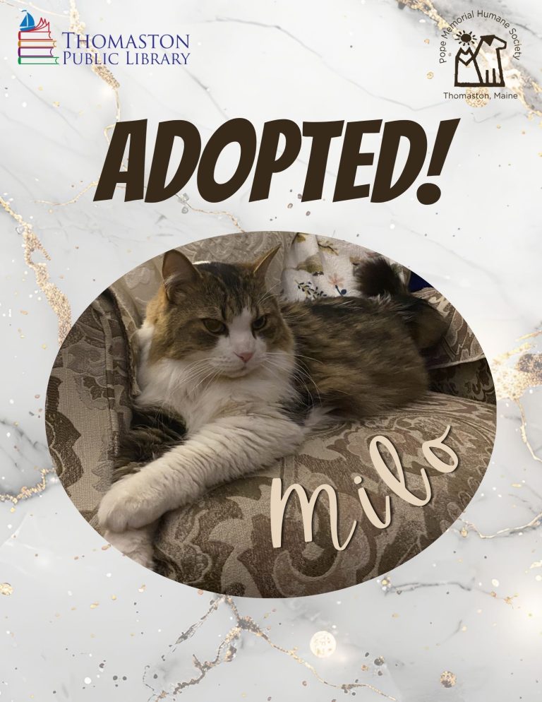 Milo Adopted