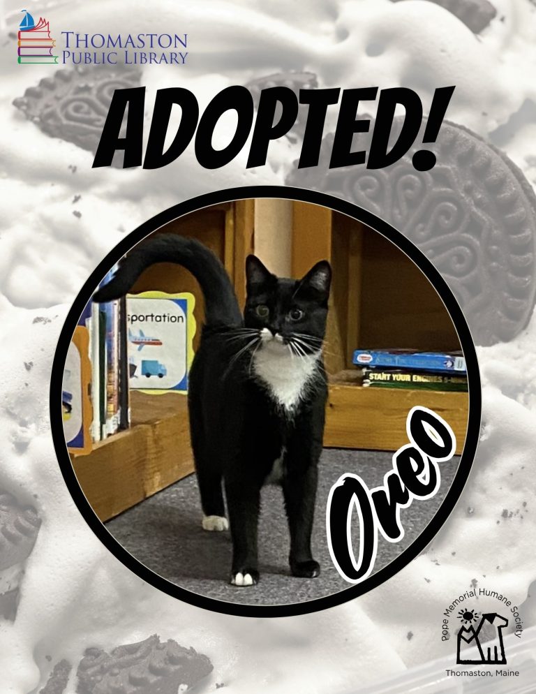 Oreo Adopted