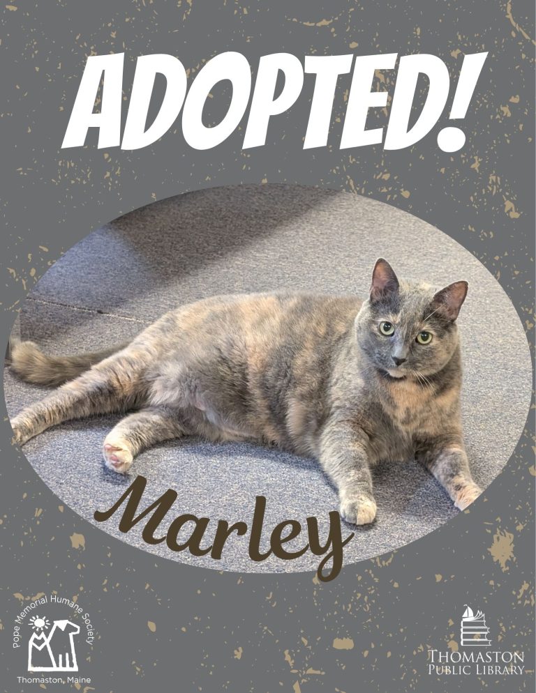 Marley Adopted