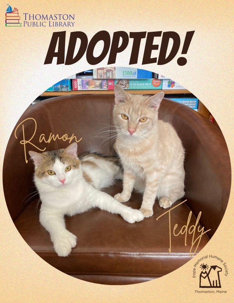 Ramon & Teddy Adopted